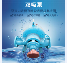 雙吸泵(bèng)